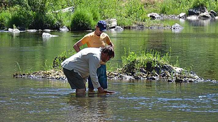 Gold Panning